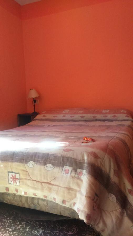 Hostel Internacional ميندوزا المظهر الخارجي الصورة